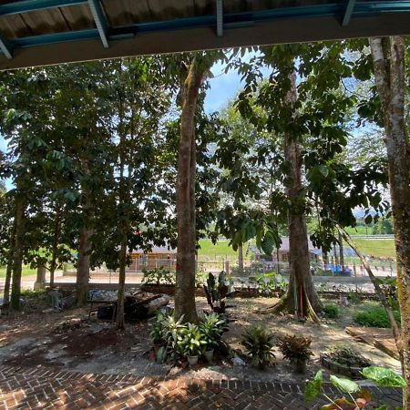 Homestay Dusun Ana Balun Slim River Exteriör bild